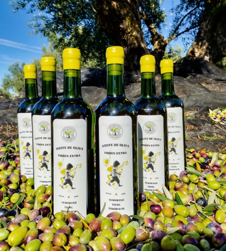 La Ruta Natural – Productores de AOVE en Jaén La Ruta Natural – Productores de AOVE en Jaén